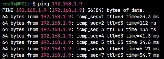 Router1 Client Ping