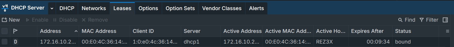 IP DHCP Server Leases