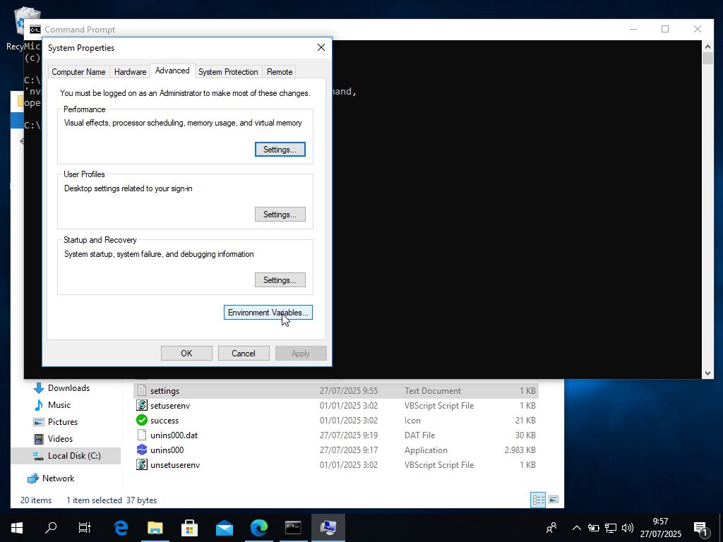 Environment Variable