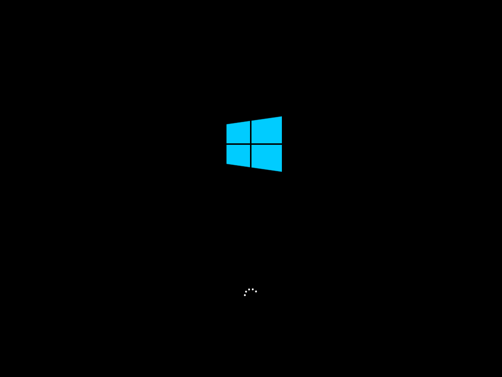 That familiar Windows loading screen First Load Boot